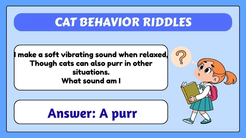 Cat Behavior Riddles